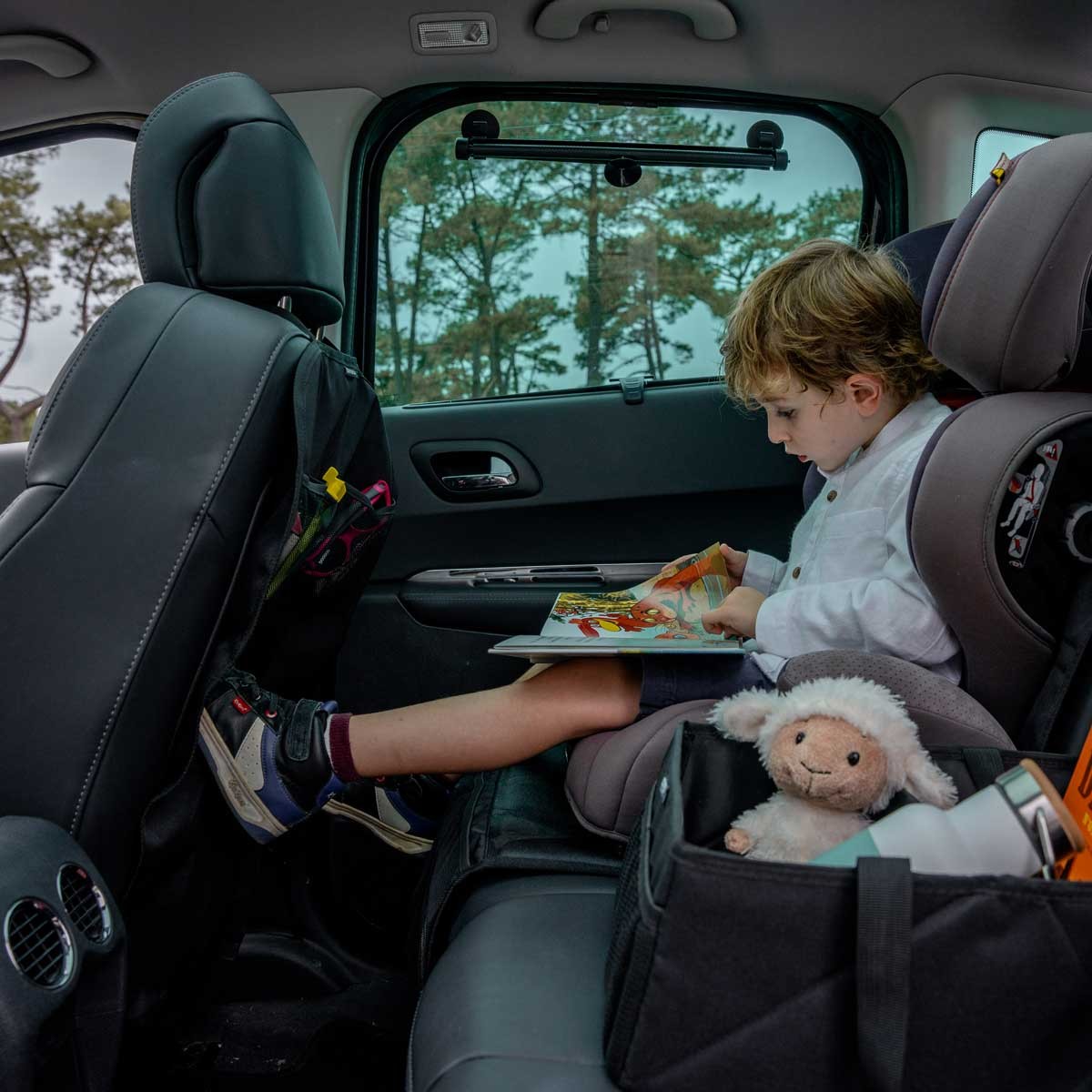 Classic Car Seat Organizer